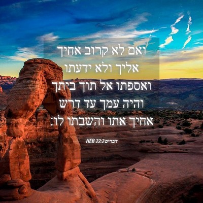 Picture 04 - דברים 22:2 HEB - ואם לא קרוב אחיך אליך ולא - Bible Verse Picture