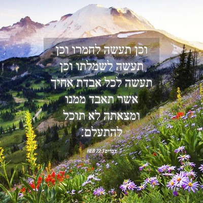Picture 04 - דברים 22:3 HEB - וכן תעשה לחמרו וכן תעשה - Bible Verse Picture