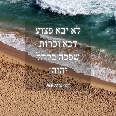 Picture 04 - דברים 23:1 HEB - לא יבא פצוע דכא וכרות שפכה - Bible Verse Picture