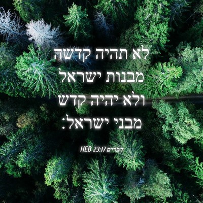 Picture 04 - דברים 23:17 HEB - לא תהיה קדשה מבנות ישראל - Bible Verse Picture