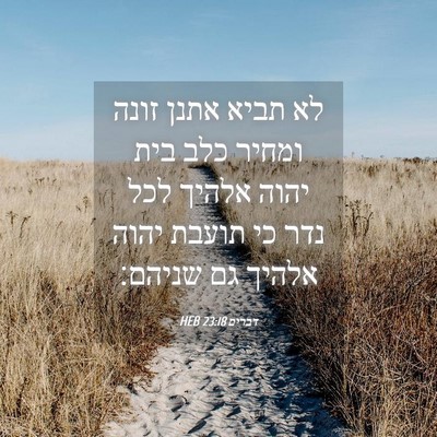 Picture 04 - דברים 23:18 HEB - לא תביא אתנן זונה ומחיר כלב - Bible Verse Picture