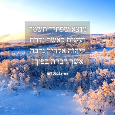 Picture 04 - דברים 23:23 HEB - מוצא שפתיך תשמר ועשית כאשר - Bible Verse Picture