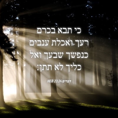Picture 04 - דברים 23:24 HEB - כי תבא בכרם רעך ואכלת ענבים - Bible Verse Picture