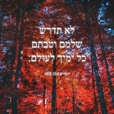 Picture 04 - דברים 23:6 HEB - לא תדרש שלמם וטבתם כל ימיך - Bible Verse Picture