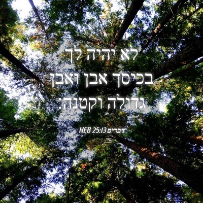 Picture 04 - דברים 25:13 HEB - לא יהיה לך בכיסך אבן ואבן - Bible Verse Picture