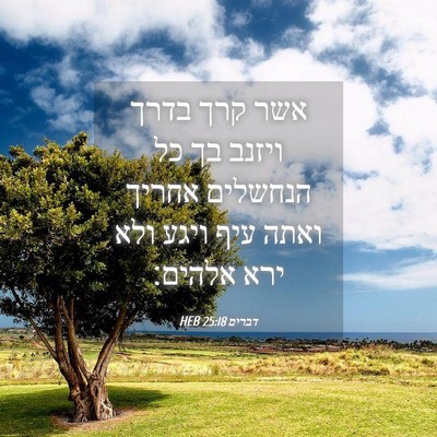 Picture 04 - דברים 25:18 HEB - אשר קרך בדרך ויזנב בך כל - Bible Verse Picture