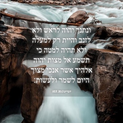 Picture 04 - דברים 28:13 HEB - ונתנך יהוה לראש ולא לזנב - Bible Verse Picture