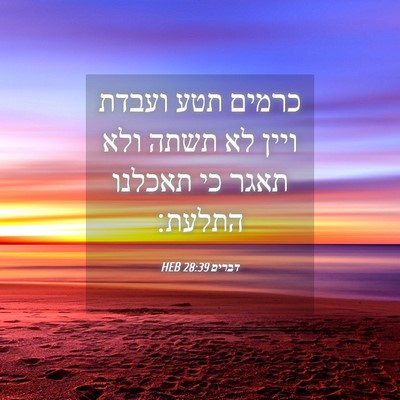 Picture 04 - דברים 28:39 HEB - כרמים תטע ועבדת ויין לא - Bible Verse Picture
