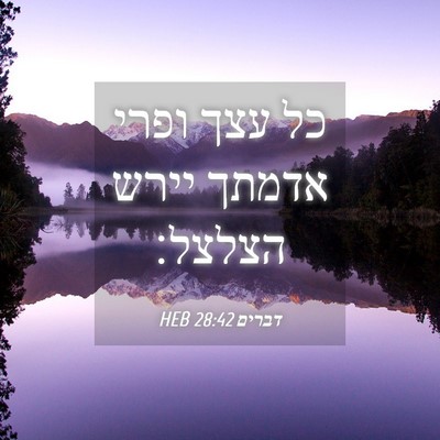Picture 04 - דברים 28:42 HEB - כל עצך ופרי אדמתך יירש - Bible Verse Picture