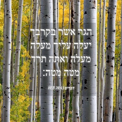 Picture 04 - דברים 28:43 HEB - הגר אשר בקרבך יעלה עליך - Bible Verse Picture