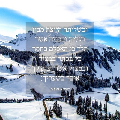 Picture 04 - דברים 28:57 HEB - ובשליתה היוצת מבין רגליה - Bible Verse Picture