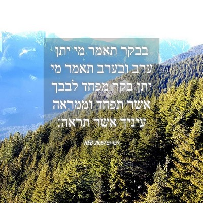 Picture 04 - דברים 28:67 HEB - בבקר תאמר מי יתן ערב ובערב - Bible Verse Picture