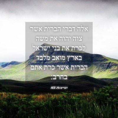 Picture 04 - דברים 29:1 HEB - אלה דברי הברית אשר צוה יהוה - Bible Verse Picture