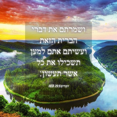 Picture 04 - דברים 29:9 HEB - ושמרתם את דברי הברית הזאת - Bible Verse Picture