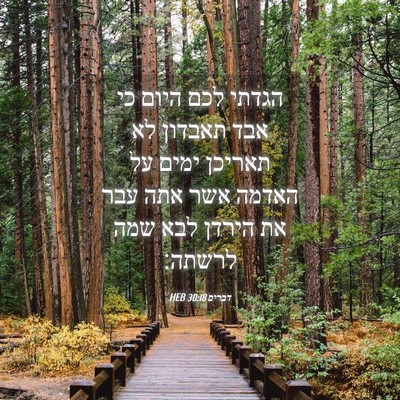 Picture 04 - דברים 30:18 HEB - הגדתי לכם היום כי אבד - Bible Verse Picture