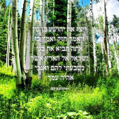 Picture 04 - דברים 31:23 HEB - ויצו את יהושע בן נון ויאמר - Bible Verse Picture