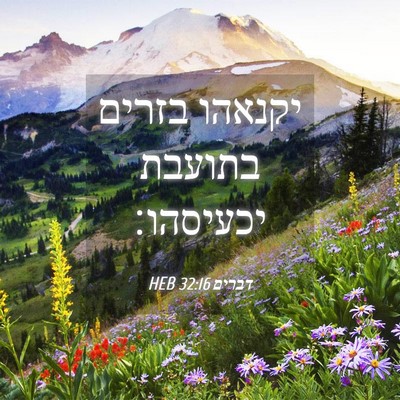 Picture 04 - דברים 32:16 HEB - יקנאהו בזרים בתועבת - Bible Verse Picture