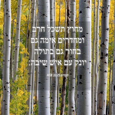 Picture 04 - דברים 32:25 HEB - מחוץ תשכל חרב ומחדרים אימה - Bible Verse Picture