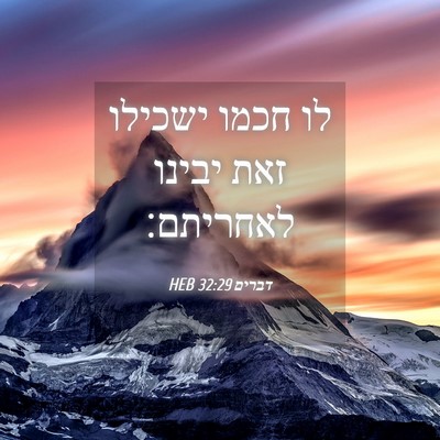 Picture 04 - דברים 32:29 HEB - לו חכמו ישכילו זאת יבינו - Bible Verse Picture