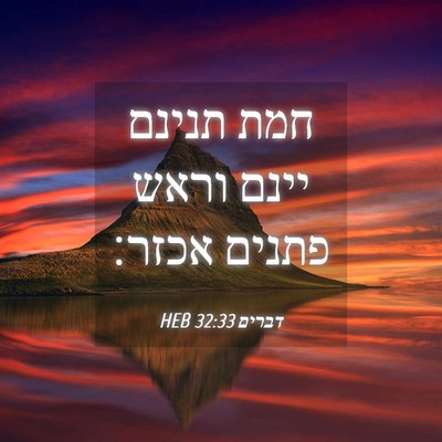 Picture 04 - דברים 32:33 HEB - חמת תנינם יינם וראש פתנים - Bible Verse Picture
