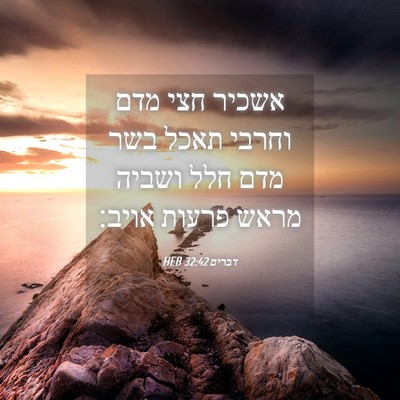 Picture 04 - דברים 32:42 HEB - אשכיר חצי מדם וחרבי תאכל - Bible Verse Picture