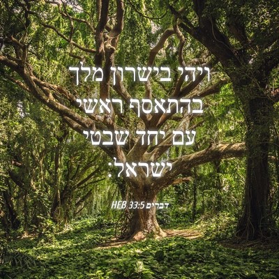 Picture 04 - דברים 33:5 HEB - ויהי בישרון מלך בהתאסף - Bible Verse Picture