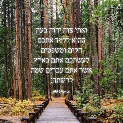 Picture 04 - דברים 4:14 HEB - ואתי צוה יהוה בעת ההוא ללמד - Bible Verse Picture