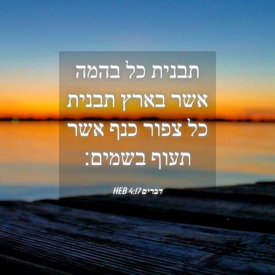 Picture 04 - דברים 4:17 HEB - תבנית כל בהמה אשר בארץ - Bible Verse Picture