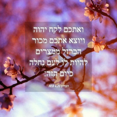 Picture 04 - דברים 4:20 HEB - ואתכם לקח יהוה ויוצא אתכם - Bible Verse Picture