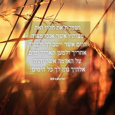 Picture 04 - דברים 4:40 HEB - ושמרת את חקיו ואת מצותיו - Bible Verse Picture