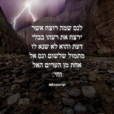 Picture 04 - דברים 4:42 HEB - לנס שמה רוצח אשר ירצח את - Bible Verse Picture