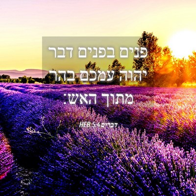 Picture 04 - דברים 5:4 HEB - פנים בפנים דבר יהוה עמכם - Bible Verse Picture