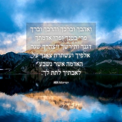 Picture 04 - דברים 7:13 HEB - ואהבך וברכך והרבך וברך פרי - Bible Verse Picture