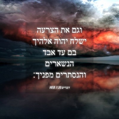 Picture 04 - דברים 7:20 HEB - וגם את הצרעה ישלח יהוה - Bible Verse Picture