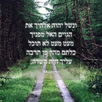 Picture 04 - דברים 7:22 HEB - ונשל יהוה אלהיך את הגוים - Bible Verse Picture