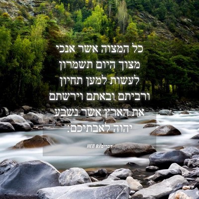 Picture 04 - דברים 8:1 HEB - כל המצוה אשר אנכי מצוך היום - Bible Verse Picture