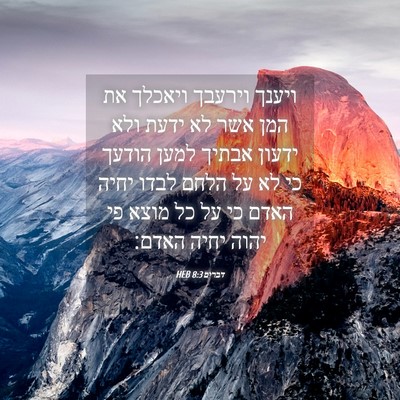 Picture 04 - דברים 8:3 HEB - ויענך וירעבך ויאכלך את המן - Bible Verse Picture