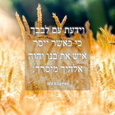 Picture 04 - דברים 8:5 HEB - וידעת עם לבבך כי כאשר ייסר - Bible Verse Picture