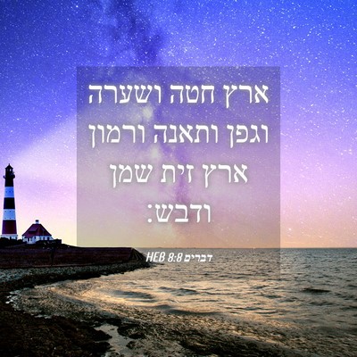 Picture 04 - דברים 8:8 HEB - ארץ חטה ושערה וגפן ותאנה - Bible Verse Picture