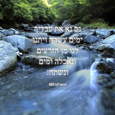 Picture 04 - דניאל 1:12 HEB - נס נא את עבדיך ימים עשרה - Bible Verse Picture