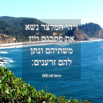 Picture 04 - דניאל 1:16 HEB - ויהי המלצר נשא את פתבגם - Bible Verse Picture