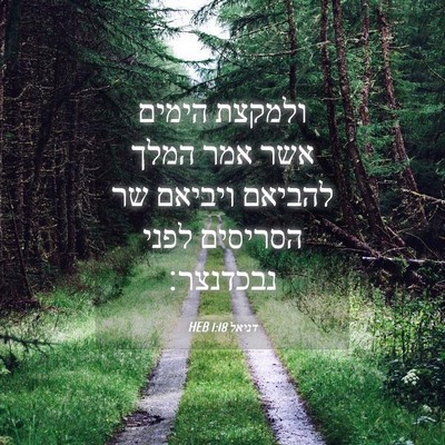 Picture 04 - דניאל 1:18 HEB - ולמקצת הימים אשר אמר המלך - Bible Verse Picture
