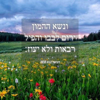 Picture 04 - דניאל 11:12 HEB - ונשא ההמון ירום לבבו והפיל - Bible Verse Picture