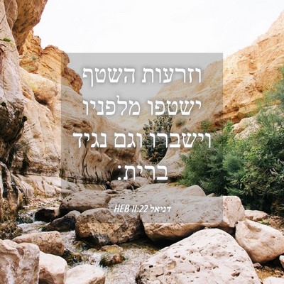 Picture 04 - דניאל 11:22 HEB - וזרעות השטף ישטפו מלפניו - Bible Verse Picture