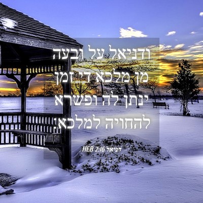 Picture 04 - דניאל 2:16 HEB - ודניאל על ובעה מן מלכא די - Bible Verse Picture