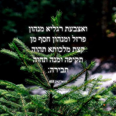 Picture 04 - דניאל 2:42 HEB - ואצבעת רגליא מנהון פרזל - Bible Verse Picture