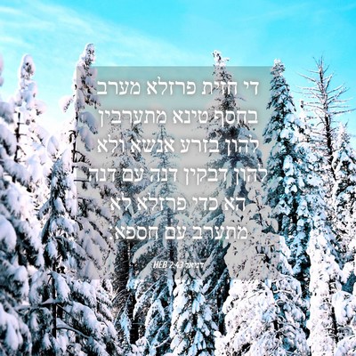 Picture 04 - דניאל 2:43 HEB - די חזית פרזלא מערב בחסף - Bible Verse Picture