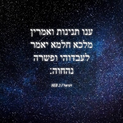 Picture 04 - דניאל 2:7 HEB - ענו תנינות ואמרין מלכא - Bible Verse Picture