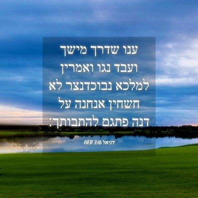 Picture 04 - דניאל 3:16 HEB - ענו שדרך מישך ועבד נגו - Bible Verse Picture