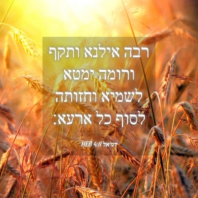 Picture 04 - דניאל 4:11 HEB - רבה אילנא ותקף ורומה ימטא - Bible Verse Picture